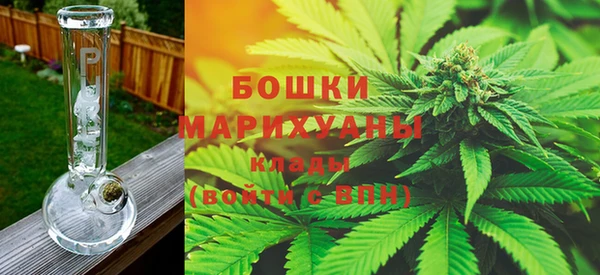гидра Алексеевка