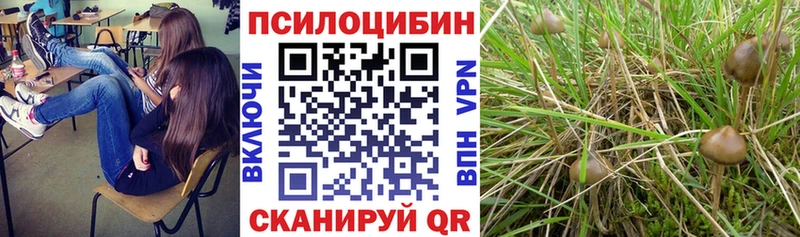 Галлюциногенные грибы Magic Shrooms  Нея 